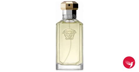 versace the dreamer punmiris|The Dreamer Versace Kolonjska voda .